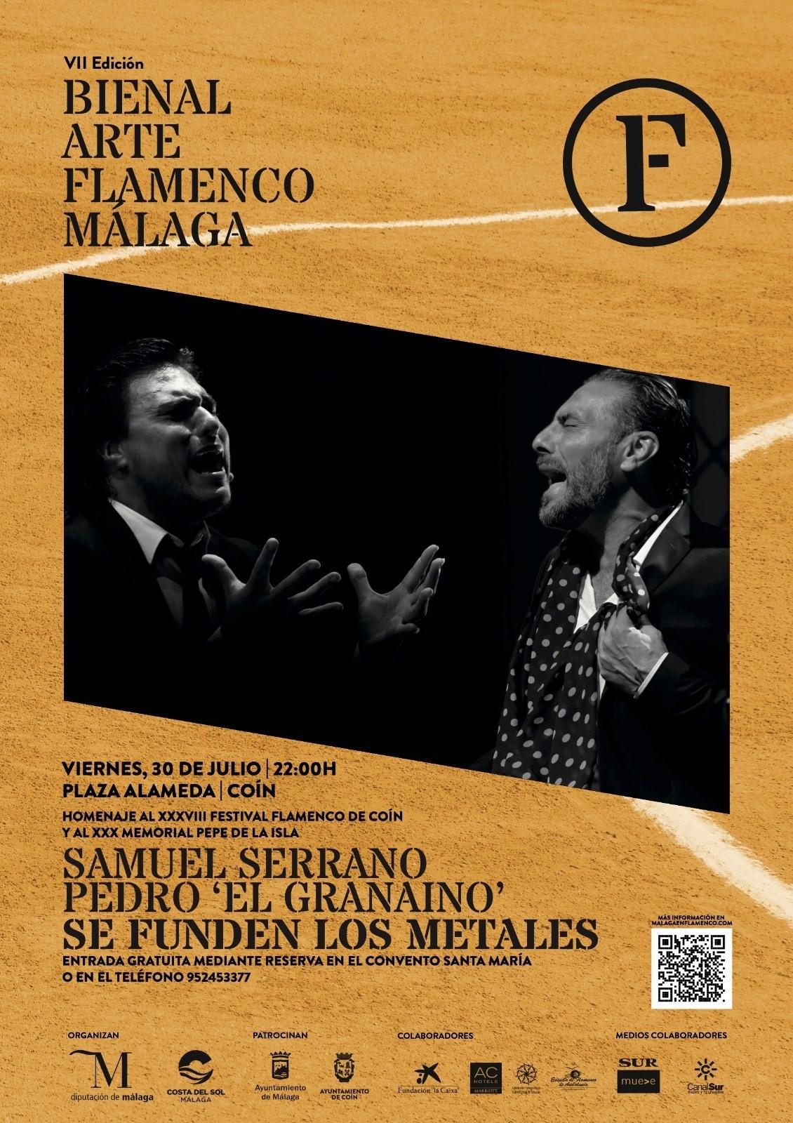 bienal flamenco coin
