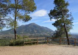 Viewpoint of Cerro Alaminos