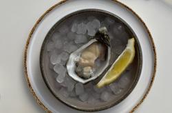 RESTAURANTE EL PATIO GASTROBAR