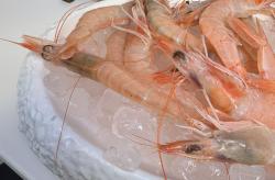 RESTAURANTE EL PATIO GASTROBAR